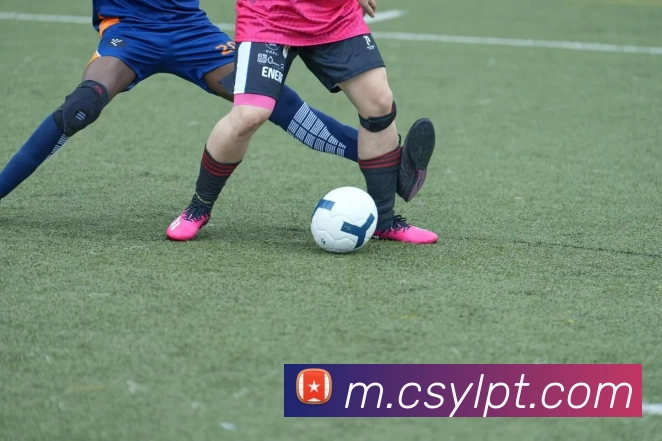 APP界面展示
